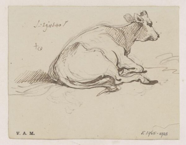 George Chinnery, A cow