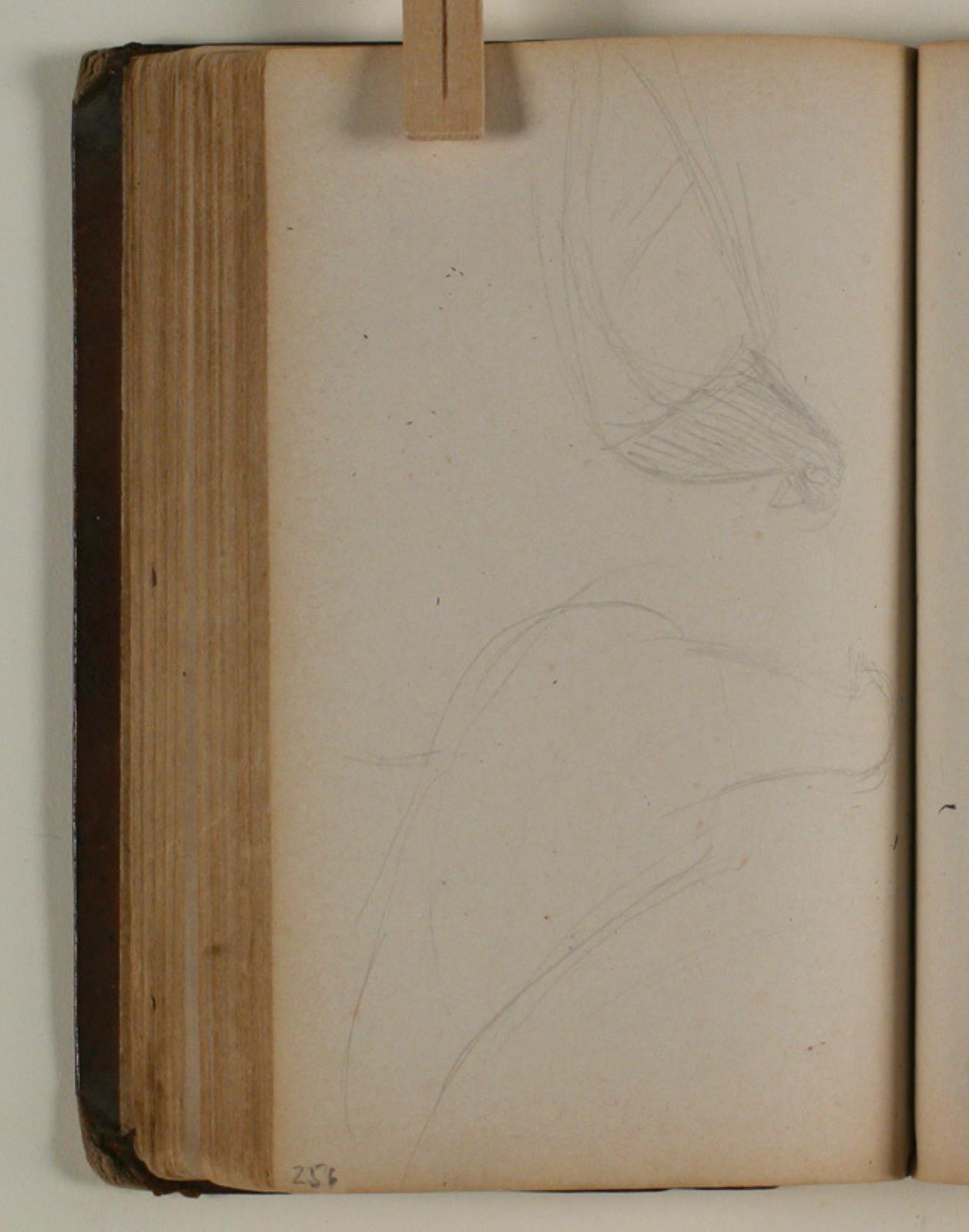 Niels Larsen Stevns, Studier af duer