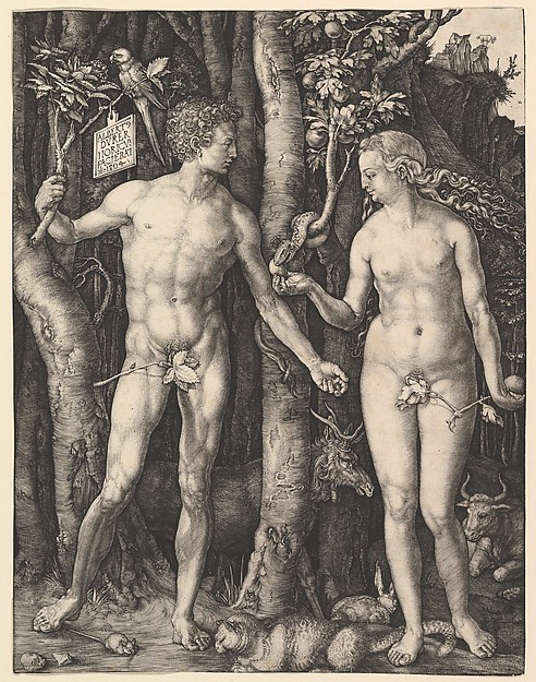 Albrecht Dürer, Adam and Eve