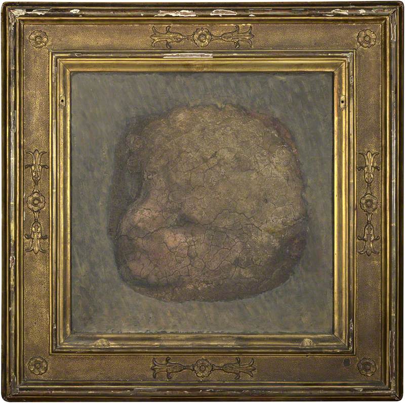 Antonio da Correggio, Head of an Angel