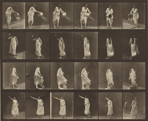 Eadweard J. Muybridge, Animal Locomotion