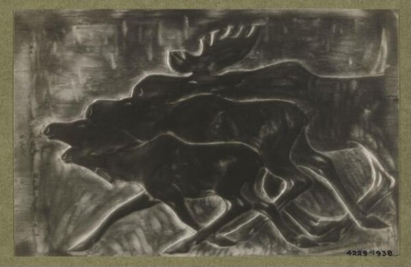unknown, Photograph