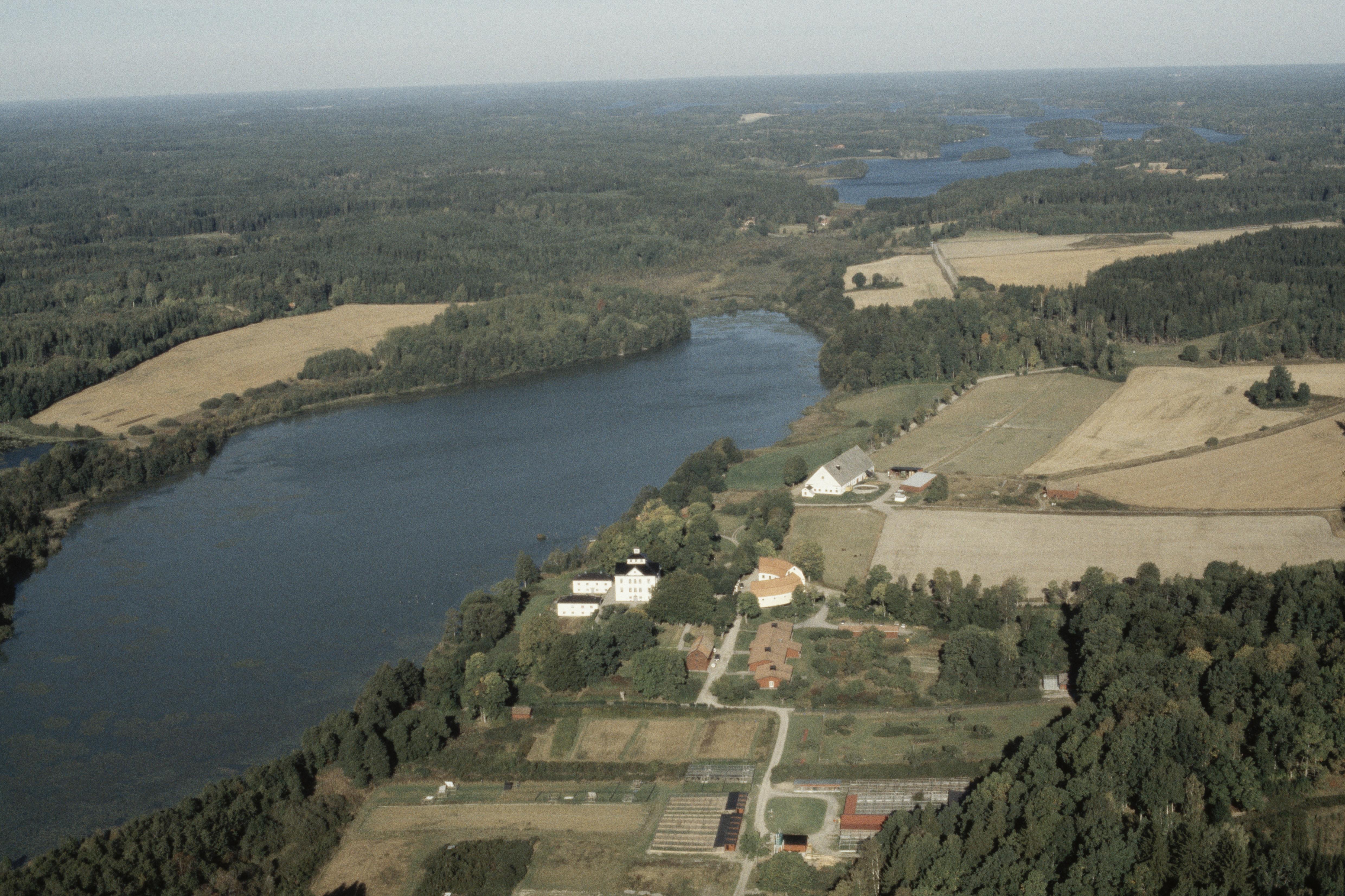 Jan Norrman, Ludgo 52:1