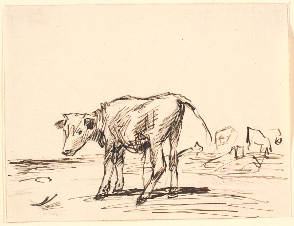 Theodor Philipsen, En tyrekalv