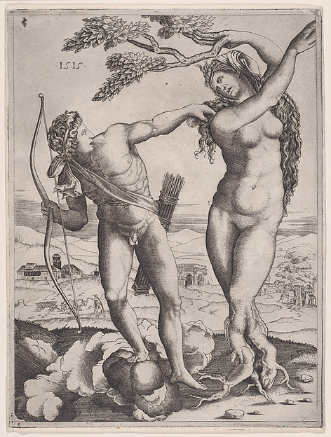 Agostino Veneziano (Agostino dei Musi), Apollo and Daphne