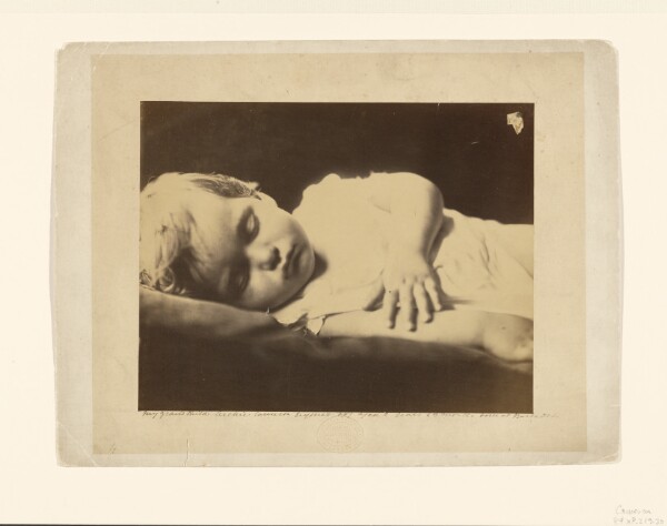 Julia Margaret Cameron, My grandchild Archie Cameron Eugene's - boy aged 2 years + 3 months born at Barbados