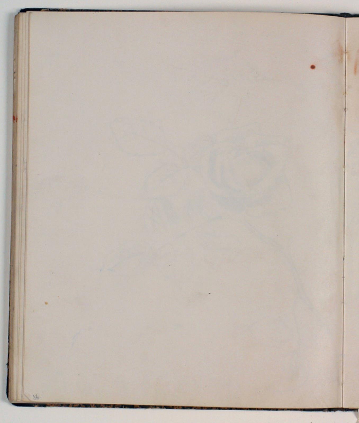 Niels Larsen Stevns, Blank