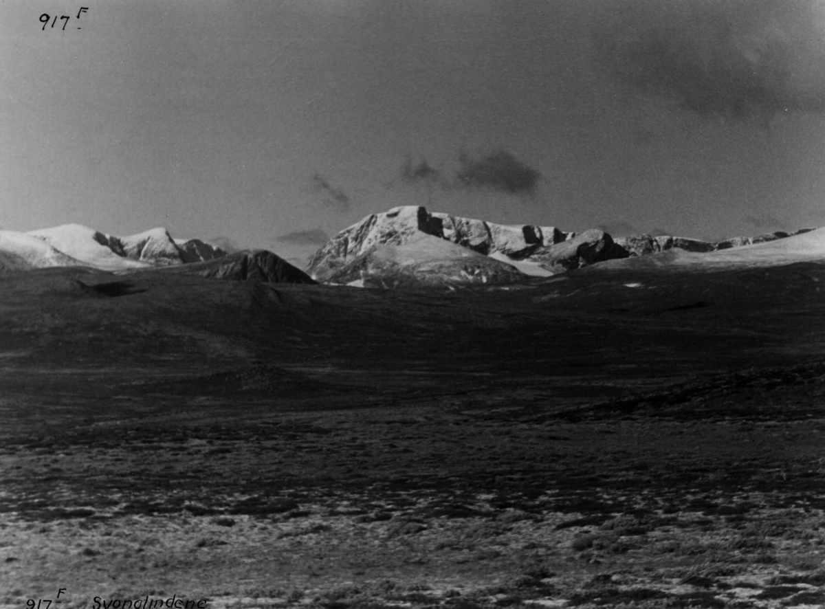 Anders Beer Wilse, Svånåtindan, Dovrefjell