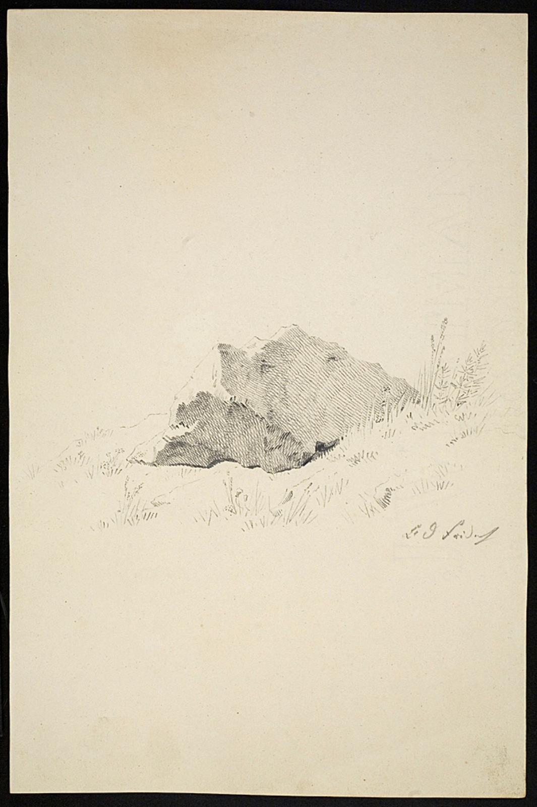 Caspar David Friedrich, Klippeformation og planter