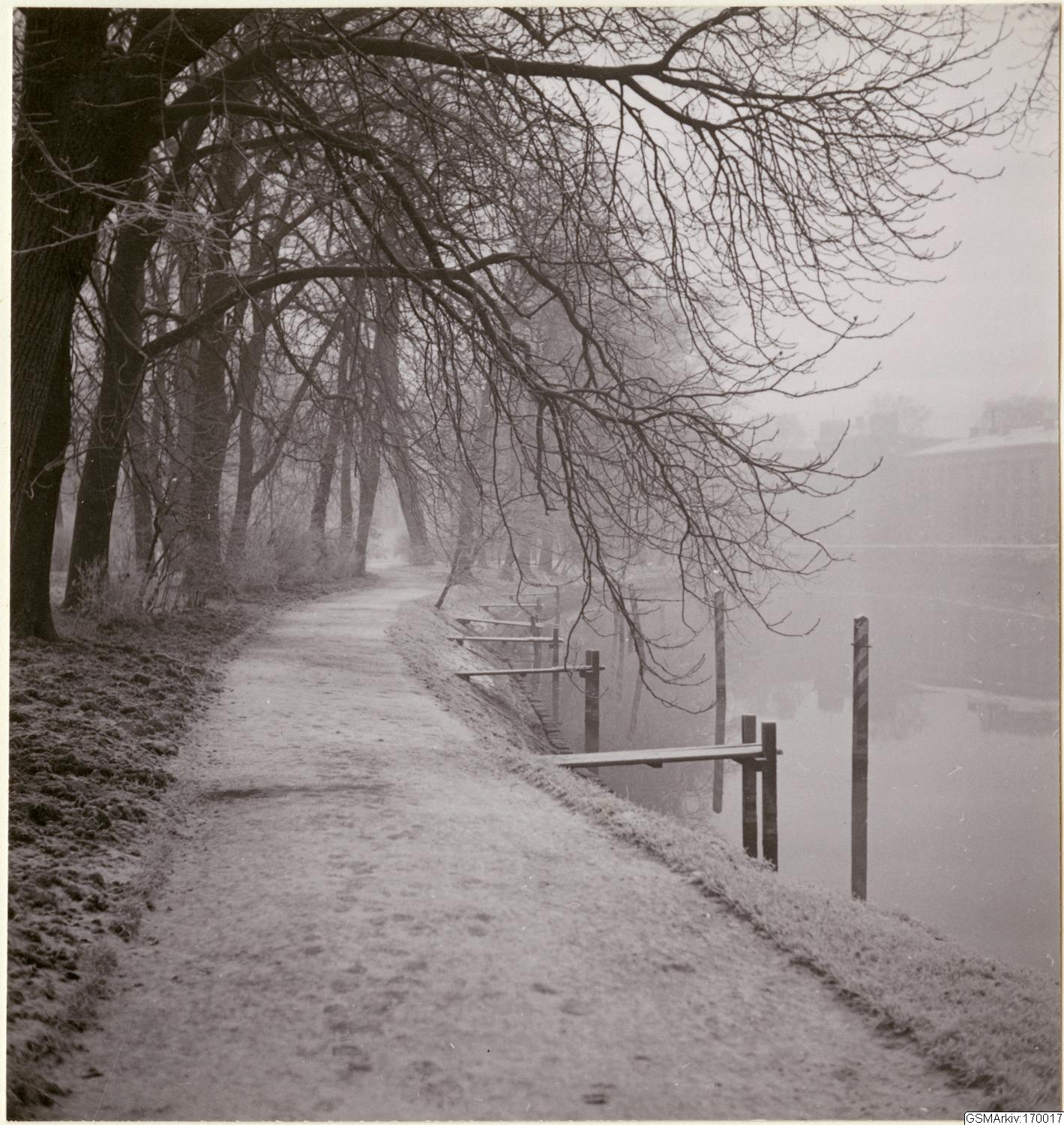 Viktor Lundgren, fotografi, bilder, påsiktsbild