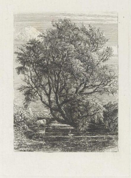 Samuel Palmer, The Willow