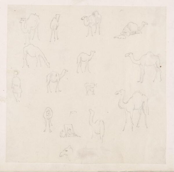 Spiers, Richard Phené, Drawing