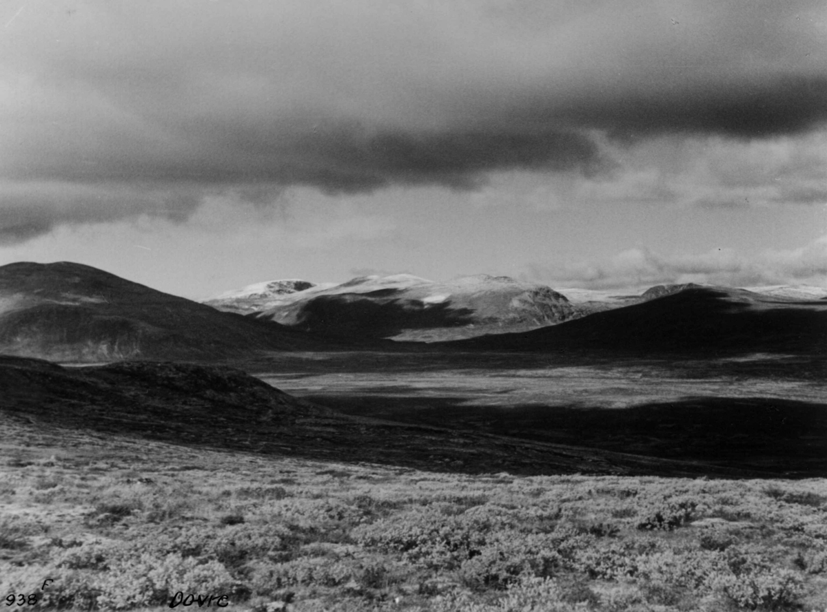 Anders Beer Wilse, Svånåtindan, Dovrefjell