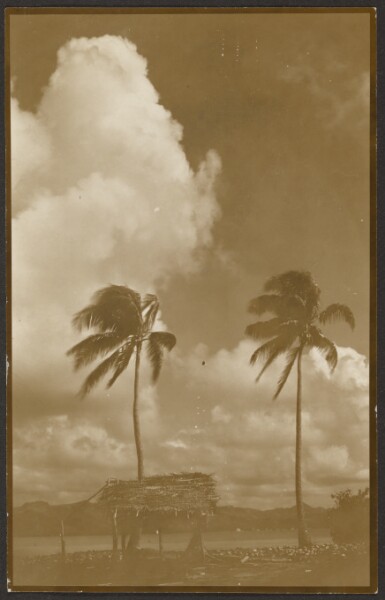 Louis Fleckenstein, [Landscape with Palm Trees]