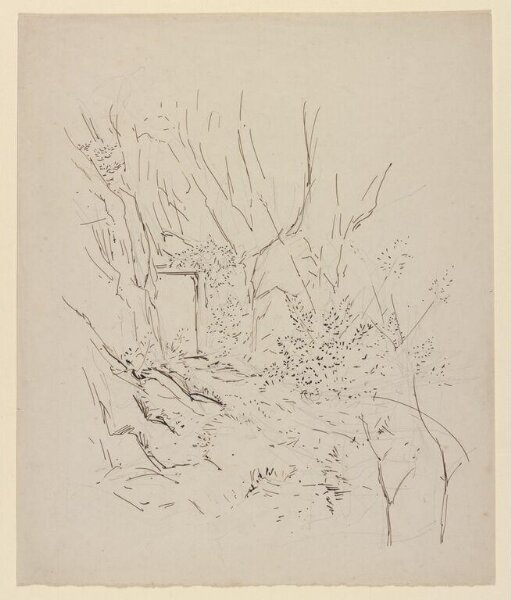 Potter, Beatrix, drawing