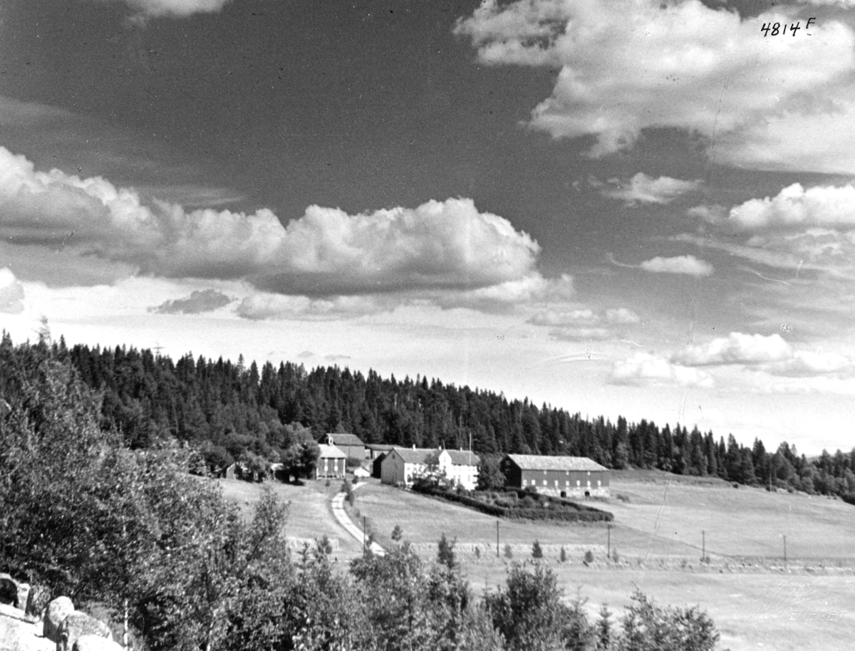 Anders Beer Wilse, Topografi