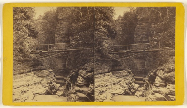 Edward and Henry T. Anthony & Co., Foot Bridge over the Flume - Enfield Ravine.