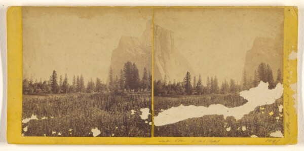 Carleton Watkins, [Up the Valley]