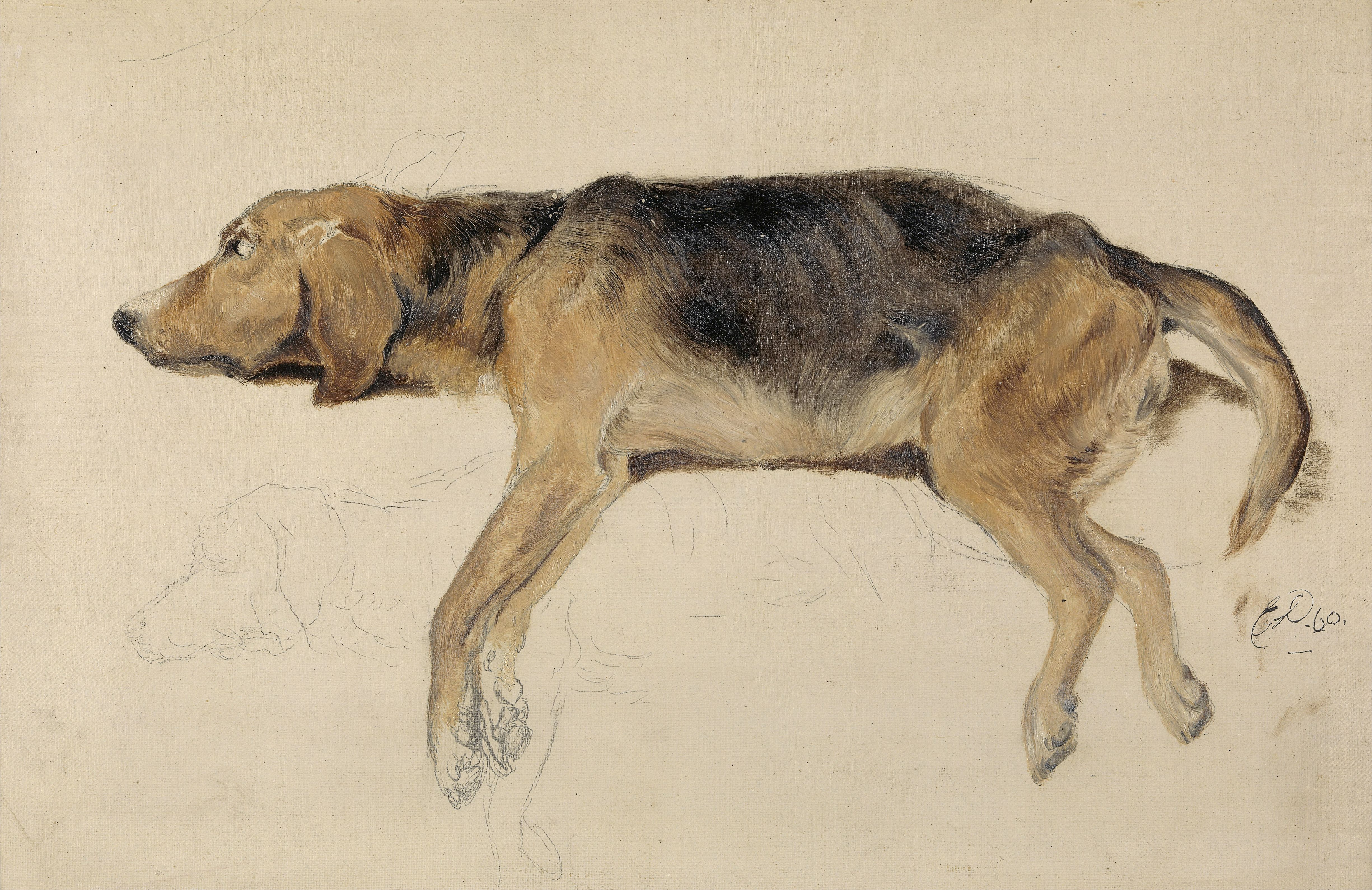Edwin Landseer, Study of a Dog Lying Down