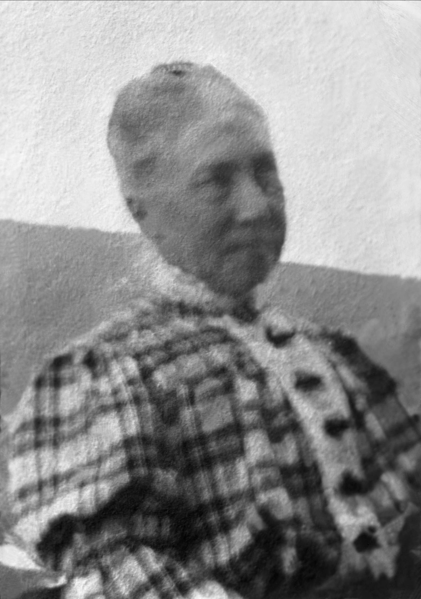 Gustav Borgen, Avfotografering.