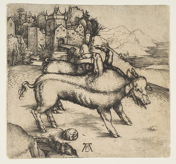 Albrecht Dürer, The Monstrous Pig of Landser