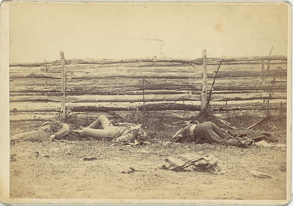 Alexander Gardner, View in the Field, On the West Side of the Hagerstown Road, After the Battle of Antietam, Maryland, September 1862