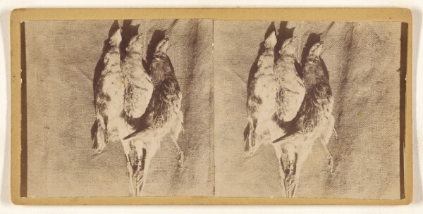Unknown, [Still life of fowl]