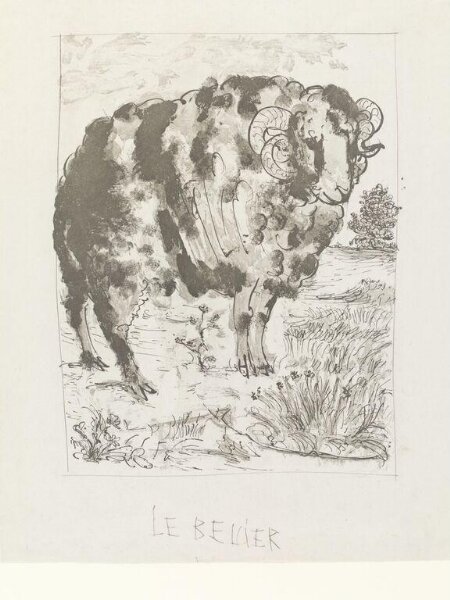 Pablo Picasso, Histoire Naturelle