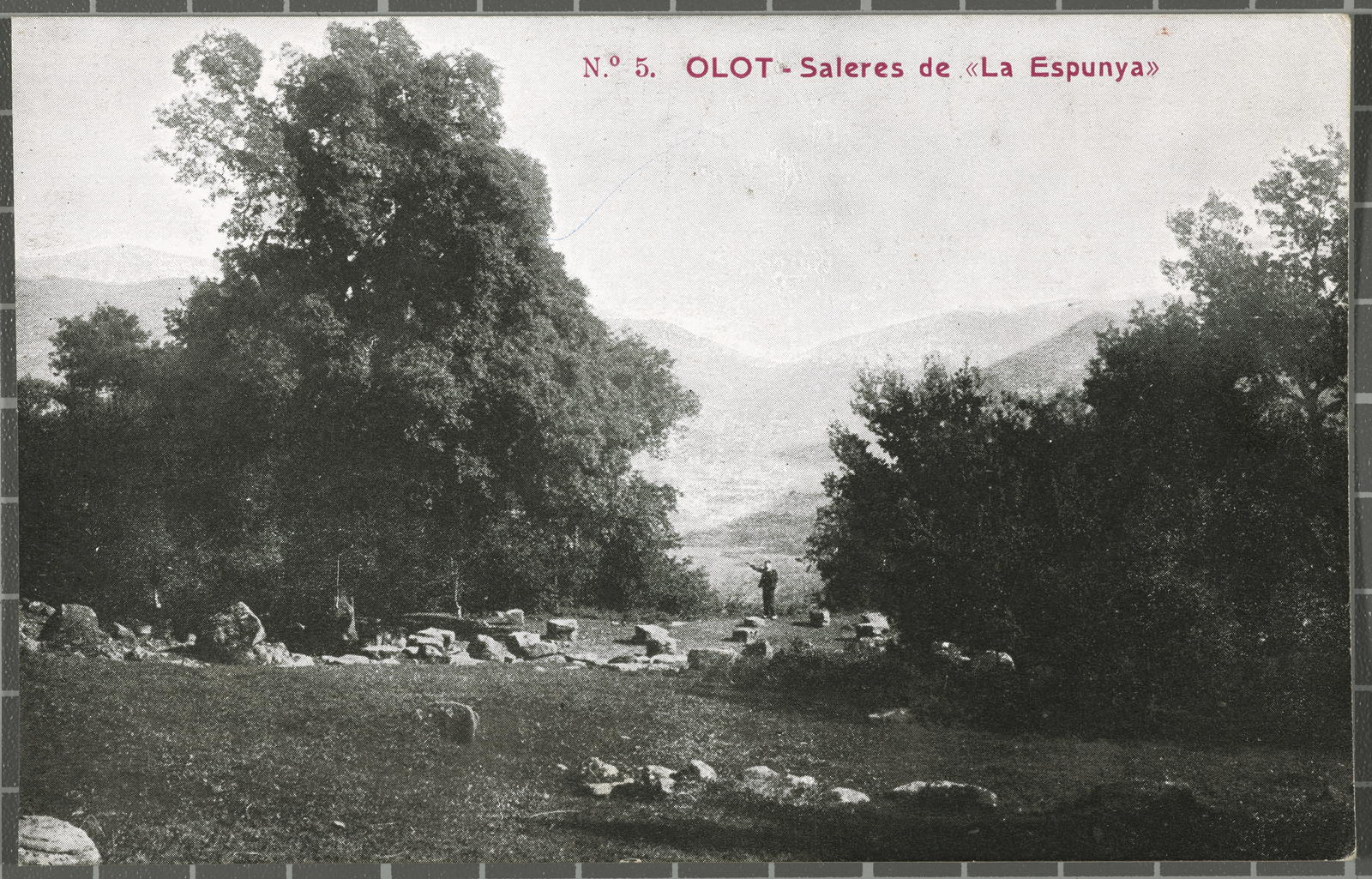 Desconegut, 5. Olot - Saleres de "La Espunya"