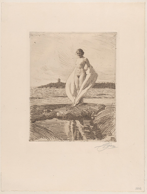 Anders Zorn, The Swan