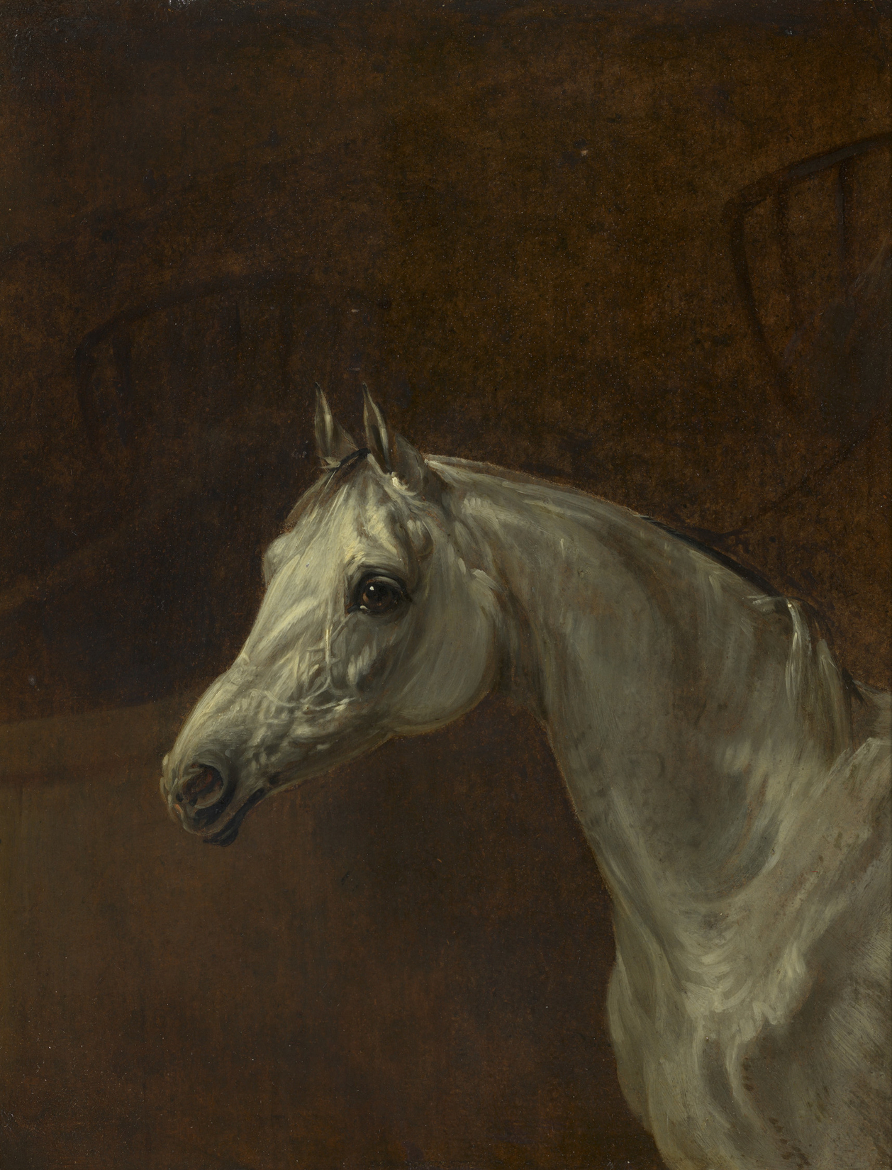 Edmund Bristow, Study of a Grey Horse