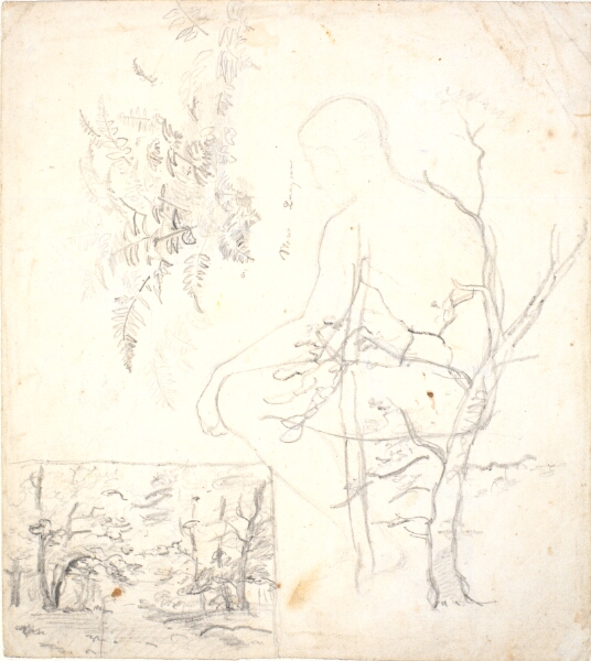 Dankvart Dreyer, Studieblad med skovbillede, træer, planter og figur
