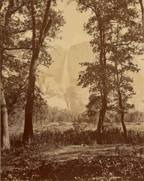 Carleton Watkins, [Yosemite Falls from Below]