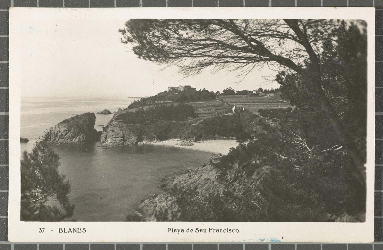 Desconegut, 37 - Blanes. San Francisco platform