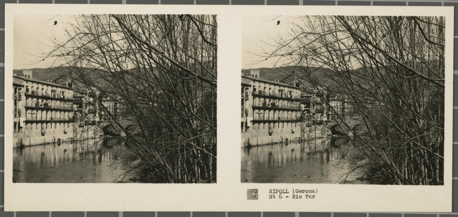 Desconegut, Ripoll