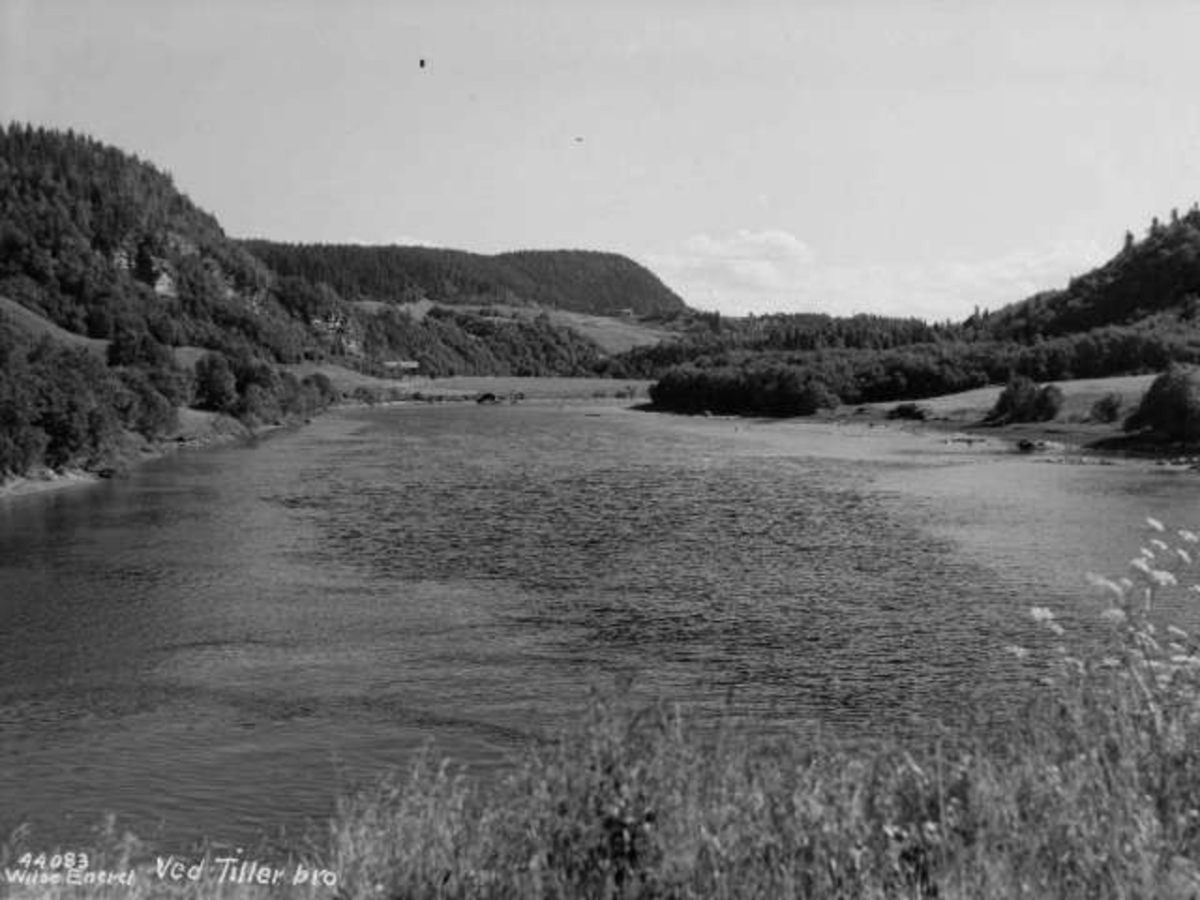 Anders Beer Wilse, Tiller, Nidelva 1936, Trondheim