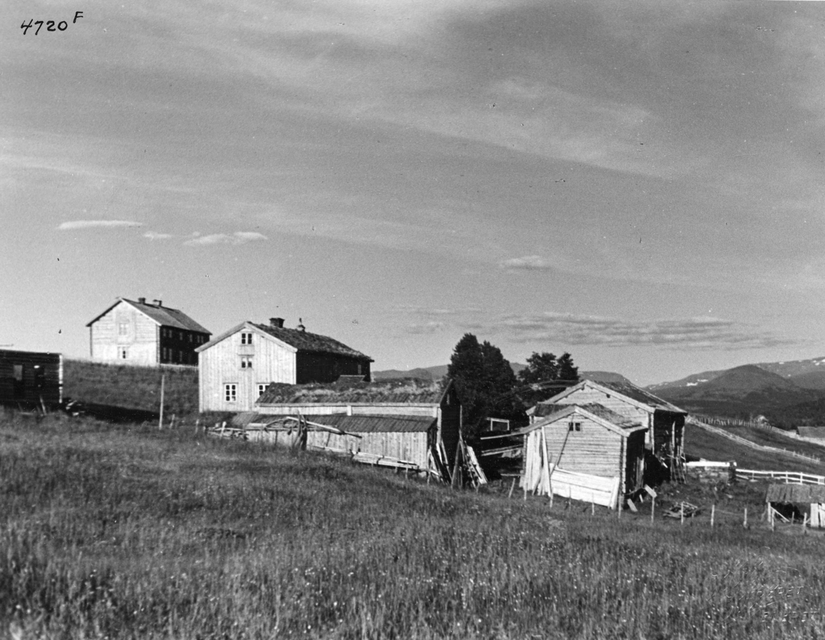 Anders Beer Wilse, Topografi